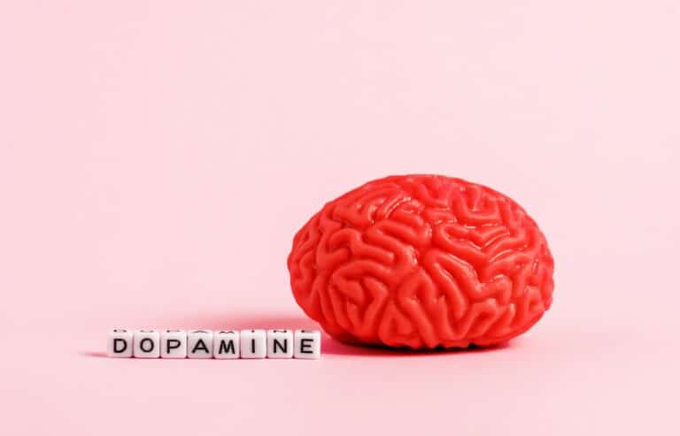 Dopamine: Why it’s important to you and your success.